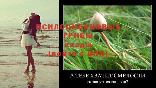 дурь Протвино