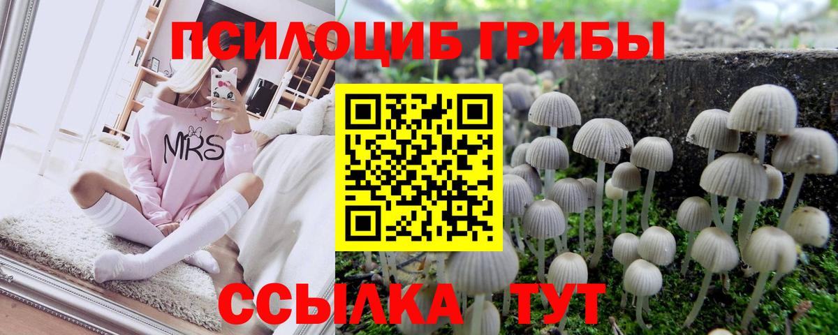 Соликамск  Галлюциногенные грибы GOLDEN TEACHER  как найти закладки  Вход с VPN 